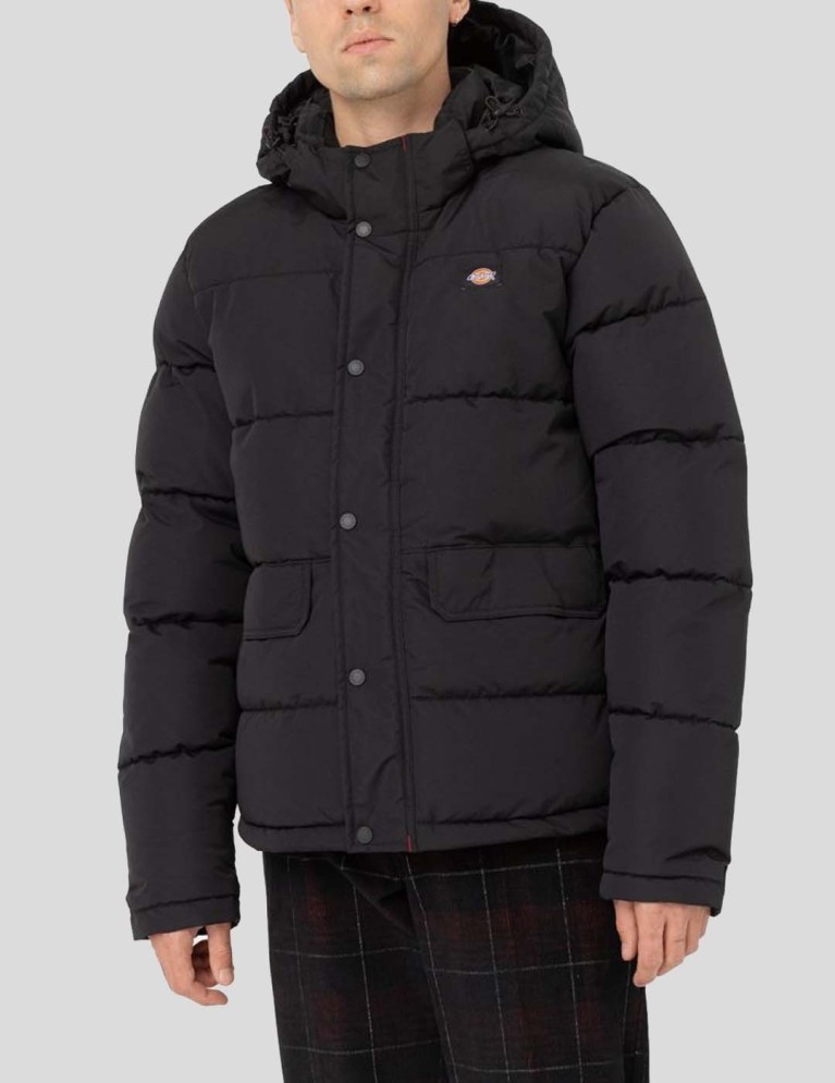 Caçador DICKIES glacier view puffer black